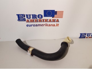Lower Hose